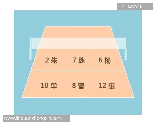 赛后分析：西安排球队与武汉排球队在战术灵活性上的较量与启示