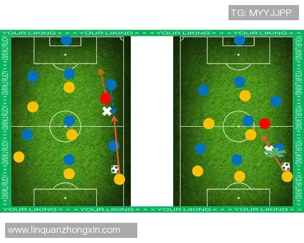 足球新手必读：全面解析战术基础与实用技巧的入门指南