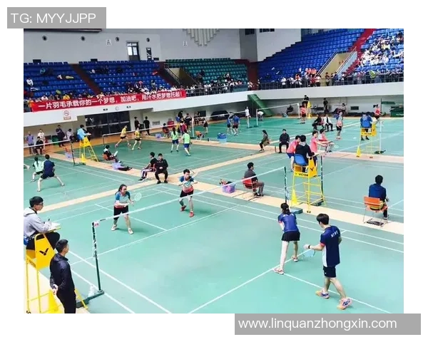 赛后分析：西安羽毛球队与广州羽毛球队实力对比与表现评估