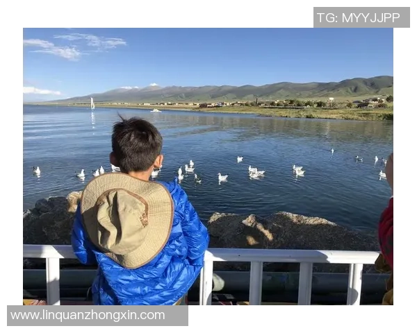 重庆乒乓球队区域防守革新之路探索与实践的深度分析