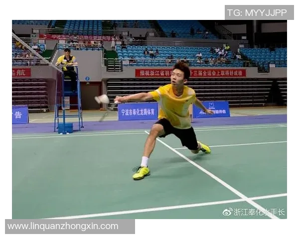 重庆羽毛球队在精英赛中的耐力表现分析与总结 重庆羽毛球队在精英赛中的耐力表现分析与总结