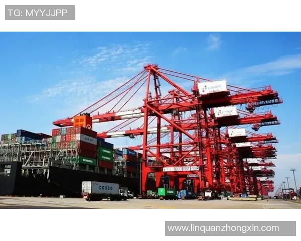 重磅专题：上海羽毛球队的中路突破革新