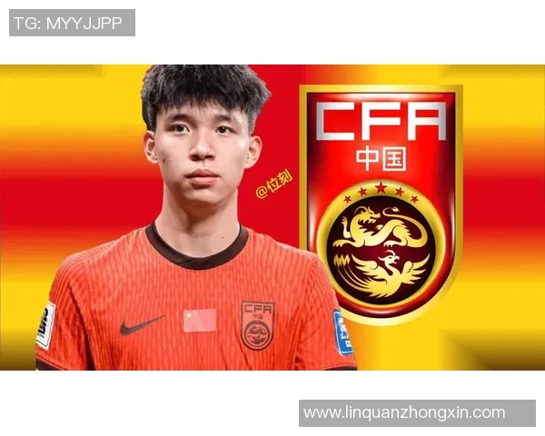 梅尼耶足球明星的辉煌历程与未来展望：从青训到职业生涯的精彩瞬间